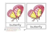 Montessori butterfly nomenclature cards ages 6 to 9