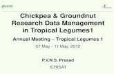 TLI 2012: Data management for chickpea and groundnut research