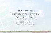 TLI 2012: Bean research progress report