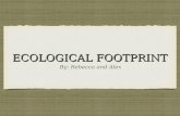 Ecological Footprint Presentation