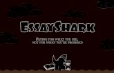 New Samples of Academic Essays on EssayShark.com Blog