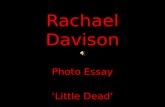 Rachael davison little dead