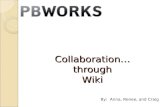Collaboration Through Wiki