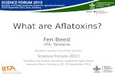 What are aflatoxins?