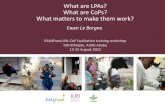 What are LPAs? What are CoPs? What matters to make them work?