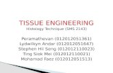 Tissue engineering (group presentation)