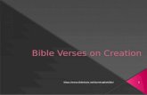 The Bible Verses on Creation
