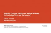 Adaptive capacity  fuad-luke,a