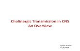 Cholinergic transmission in CNS -An Overview