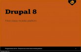 Drupal as a first class mobile platform