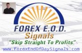 Forex End Of Day Signals 2011 Performance Report
