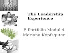 The Leadership Experience - Präsentation