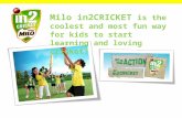in2CRICKET Come and Try Day