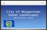 2013 City of Morgantown Urban Landscapes Project Sites