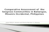 Comparative assessment of the seagrass communities in baliangao, misamis occidental, philippines