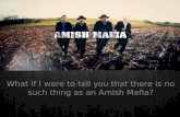 Truth about Amish