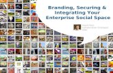 Securing, Integrating and Branding Your Social Space