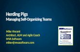 Herding pigs   managing self-organizing teams