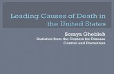 Soraya Ghebleh - Leading Causes of Death
