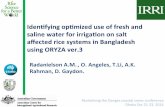 Identifying optimized use of fresh and saline water for irrigation on salt affected rice systems in Bangladesh using ORYZA ver.3