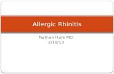 Allergic rhinitis 2