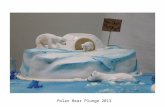 Polar Bear Plunge 2013
