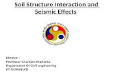 Seismic ssi effects and liquification