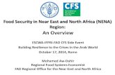 Fsn in the arab region an overview aw_dahir fao 10-17-2014