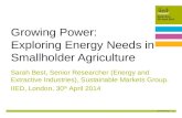 Growing power: Exploring energy needs in smallholder agriculture