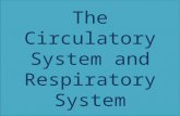 The circulatory system and respiratory system news esaimen