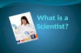 What is-a-scientist