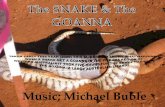 The Snake & The Goanna