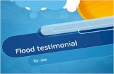 Flood testimonial