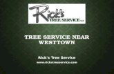 Tree Service near Westtown