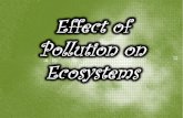 Effect of pollution on ecosystems