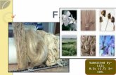 Flax fiber, manufacturing, physical and chemical properties..