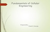 Fundamental of cellular system