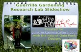 Guerilla gardening research_lab_slidsho