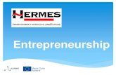 6. Entrepreneurship - Juan Jose Arevalillo Doval (Hermes)