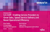 CA CSDP:  Enabling Service Providers to Grow Sales, Speed Service Delivery and Boost Operational Efficiency
