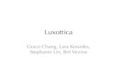 Luxxotica Social Media Campaign