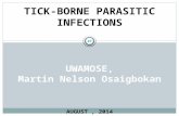 Tick borne parasitic infections