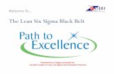 Black Belt - Path To Excellence