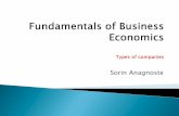 Bei lecture 3_types_of_companies