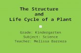 Jurica eded-3308 plant life cycle [autosaved]