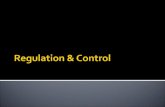 Regulation & control