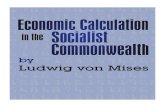 Economic Socialism