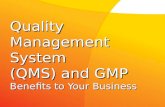 QMS and GMP