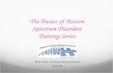 Adults with autism training series module four v2