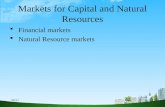 Bec doms ppt on markets for capital and natural resources
